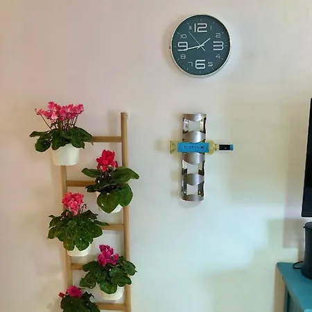 Apartman Casa Lucilita